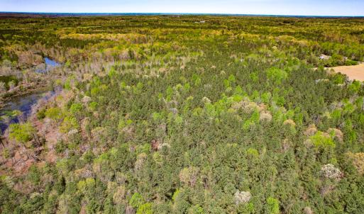 Photo #29 of SOLD property in Off Sparta Road, Milford, VA 30.7 acres