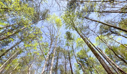 Photo #30 of SOLD property in Off Sparta Road, Milford, VA 30.7 acres