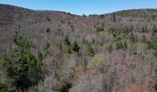 Photo #10 of SOLD property in Off Reedsville Rd NW, Floyd, VA 36.6 acres