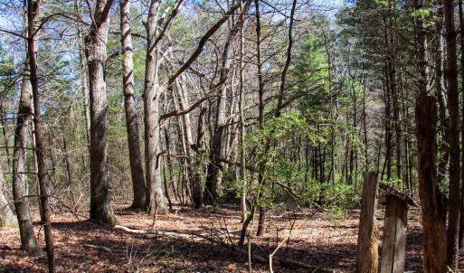 Photo #13 of SOLD property in Off Reedsville Rd NW, Floyd, VA 36.6 acres