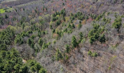 Photo #14 of SOLD property in Off Reedsville Rd NW, Floyd, VA 36.6 acres