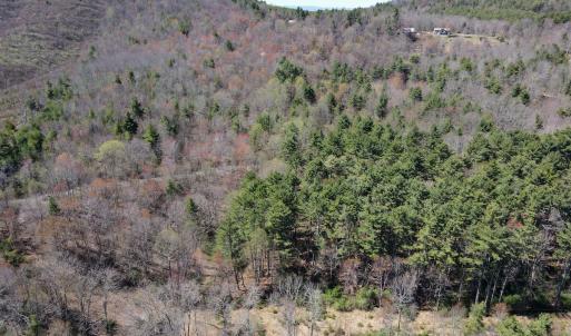 Photo #2 of SOLD property in Off Reedsville Rd NW, Floyd, VA 36.6 acres