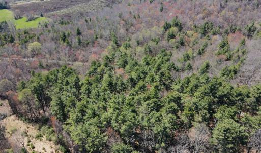 Photo #3 of SOLD property in Off Reedsville Rd NW, Floyd, VA 36.6 acres