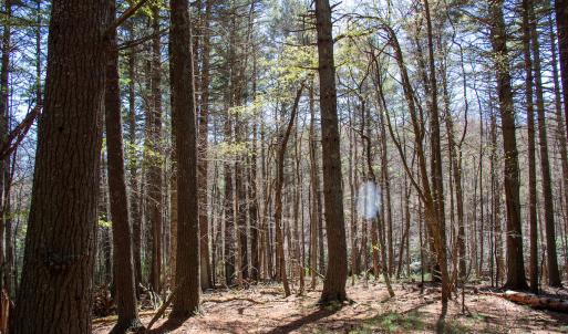 Photo #4 of SOLD property in Off Reedsville Rd NW, Floyd, VA 36.6 acres