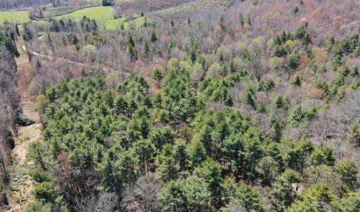 Photo #6 of SOLD property in Off Reedsville Rd NW, Floyd, VA 36.6 acres