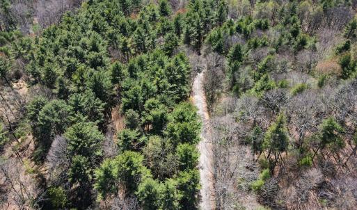 Photo #7 of SOLD property in Off Reedsville Rd NW, Floyd, VA 36.6 acres