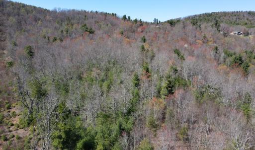 Photo #22 of SOLD property in Off Reedsville Rd NW, Floyd, VA 36.6 acres