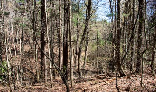 Photo #23 of SOLD property in Off Reedsville Rd NW, Floyd, VA 36.6 acres