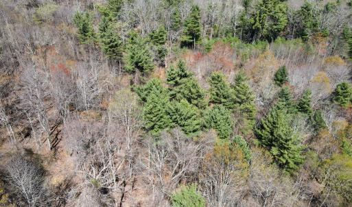Photo #28 of SOLD property in Off Reedsville Rd NW, Floyd, VA 36.6 acres