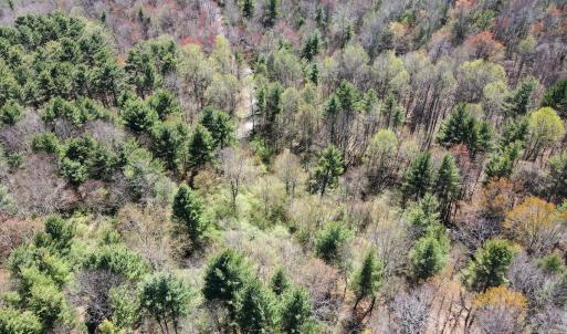 Photo #30 of SOLD property in Off Reedsville Rd NW, Floyd, VA 36.6 acres