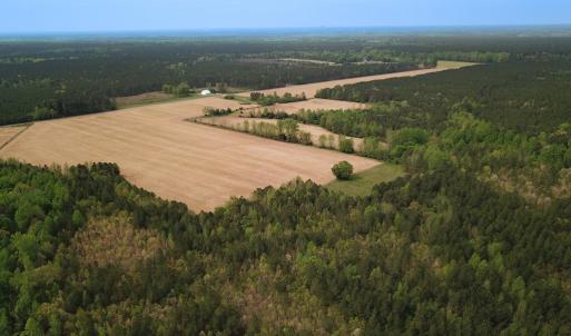 Photo #2 of SOLD property in Lebanon Church Rd, Jarratt, VA 81.0 acres