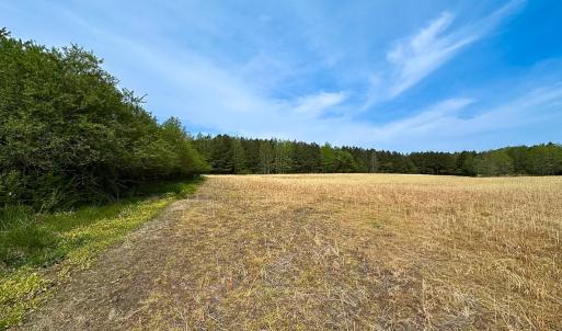 Photo #3 of SOLD property in Lebanon Church Rd, Jarratt, VA 81.0 acres