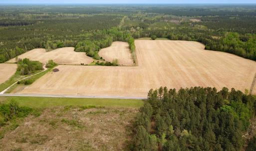 Photo #4 of SOLD property in Lebanon Church Rd, Jarratt, VA 81.0 acres