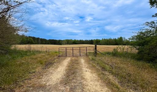 Photo #5 of SOLD property in Lebanon Church Rd, Jarratt, VA 81.0 acres