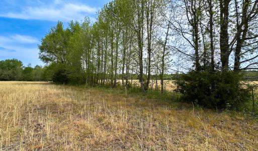 Photo #7 of SOLD property in Lebanon Church Rd, Jarratt, VA 81.0 acres
