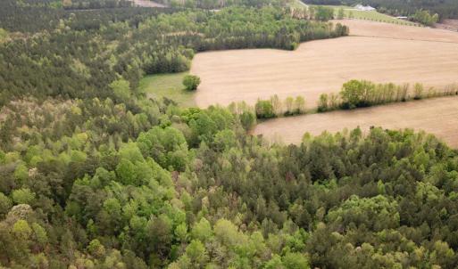 Photo #8 of SOLD property in Lebanon Church Rd, Jarratt, VA 81.0 acres