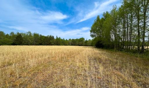 Photo #9 of SOLD property in Lebanon Church Rd, Jarratt, VA 81.0 acres