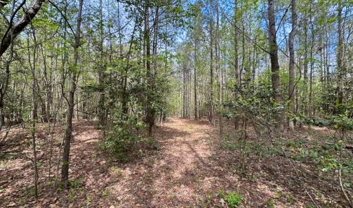Photo #10 of SOLD property in Lebanon Church Rd, Jarratt, VA 81.0 acres