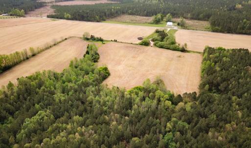Photo #11 of SOLD property in Lebanon Church Rd, Jarratt, VA 81.0 acres