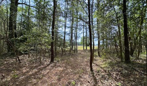 Photo #12 of SOLD property in Lebanon Church Rd, Jarratt, VA 81.0 acres