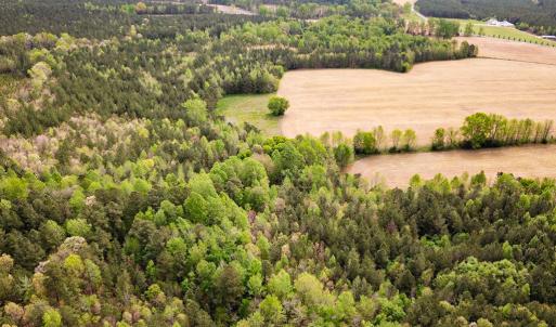 Photo #15 of SOLD property in Lebanon Church Rd, Jarratt, VA 81.0 acres