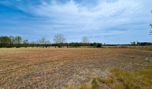 Photo #17 of SOLD property in Lebanon Church Rd, Jarratt, VA 81.0 acres