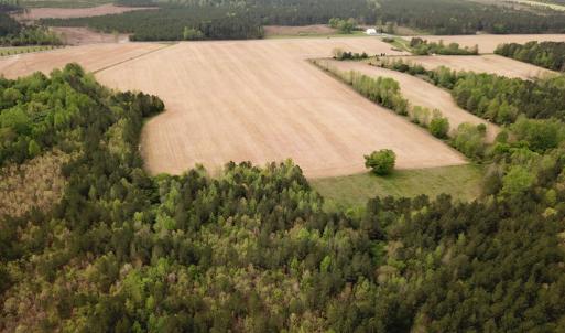 Photo #19 of SOLD property in Lebanon Church Rd, Jarratt, VA 81.0 acres