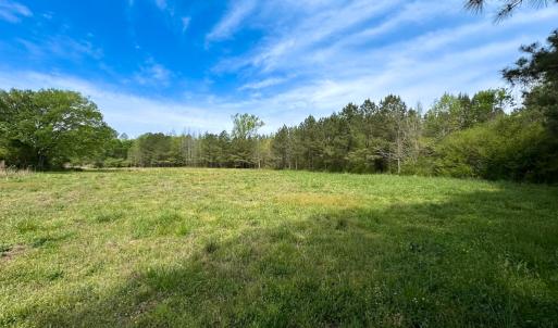 Photo #21 of SOLD property in Lebanon Church Rd, Jarratt, VA 81.0 acres