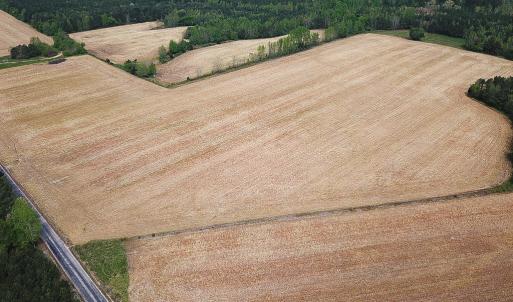 Photo #22 of SOLD property in Lebanon Church Rd, Jarratt, VA 81.0 acres