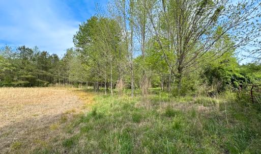 Photo #26 of SOLD property in Lebanon Church Rd, Jarratt, VA 81.0 acres