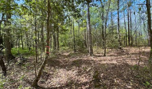 Photo #28 of SOLD property in Lebanon Church Rd, Jarratt, VA 81.0 acres