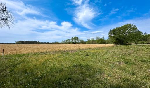 Photo #30 of SOLD property in Lebanon Church Rd, Jarratt, VA 81.0 acres