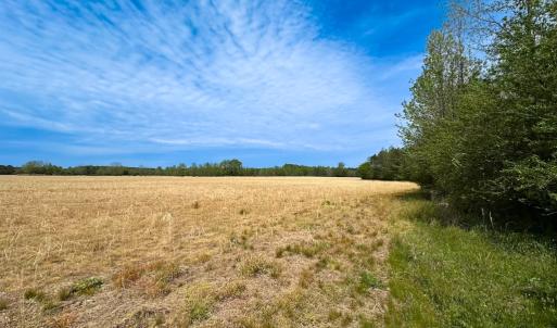 Photo #33 of SOLD property in Lebanon Church Rd, Jarratt, VA 81.0 acres