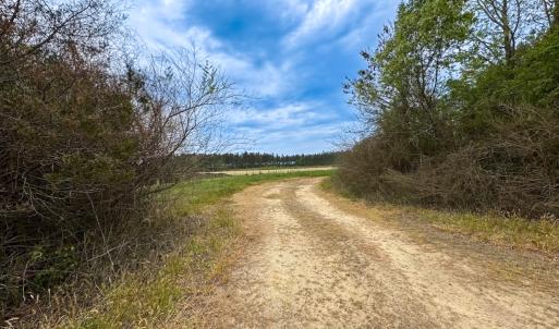 Photo #36 of SOLD property in Lebanon Church Rd, Jarratt, VA 81.0 acres