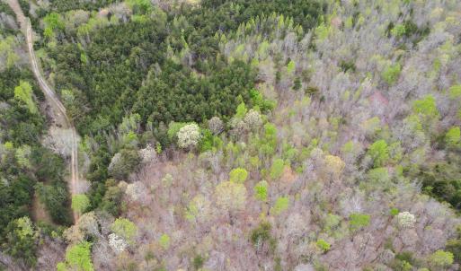 Photo #10 of SOLD property in Off Owens Mill Rd, Nathalie, VA 44.8 acres