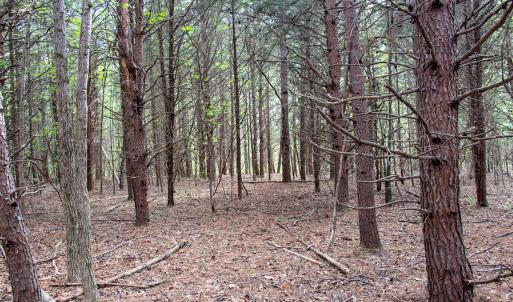 Photo #11 of SOLD property in Off Owens Mill Rd, Nathalie, VA 44.8 acres