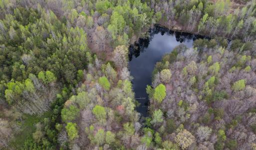 Photo #13 of SOLD property in Off Owens Mill Rd, Nathalie, VA 44.8 acres