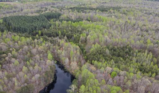 Photo #14 of SOLD property in Off Owens Mill Rd, Nathalie, VA 44.8 acres