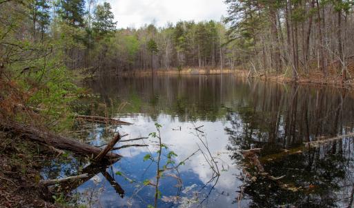 Photo #15 of SOLD property in Off Owens Mill Rd, Nathalie, VA 44.8 acres