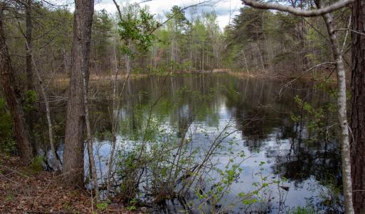 Photo #16 of SOLD property in Off Owens Mill Rd, Nathalie, VA 44.8 acres