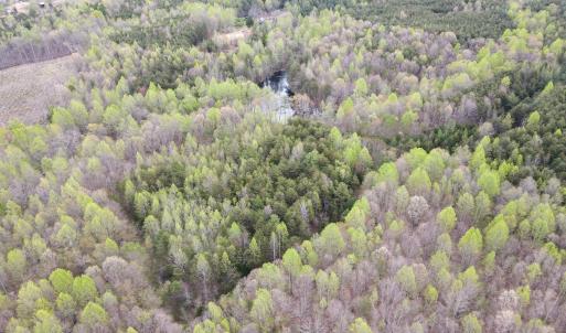 Photo #17 of SOLD property in Off Owens Mill Rd, Nathalie, VA 44.8 acres