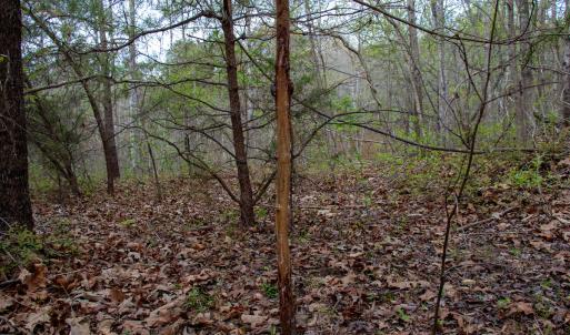 Photo #19 of SOLD property in Off Owens Mill Rd, Nathalie, VA 44.8 acres