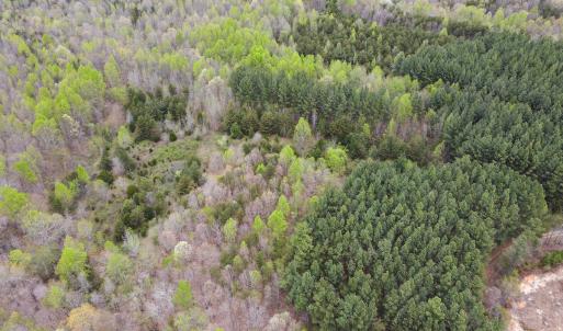 Photo #2 of SOLD property in Off Owens Mill Rd, Nathalie, VA 44.8 acres