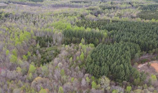 Photo #3 of SOLD property in Off Owens Mill Rd, Nathalie, VA 44.8 acres