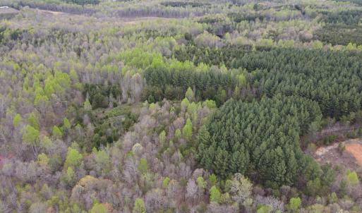 Photo #3 of Off Owens Mill Rd, Nathalie, VA 44.8 acres