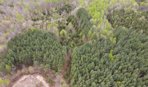 Photo #4 of SOLD property in Off Owens Mill Rd, Nathalie, VA 44.8 acres