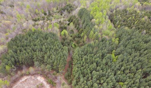 Photo #4 of Off Owens Mill Rd, Nathalie, VA 44.8 acres