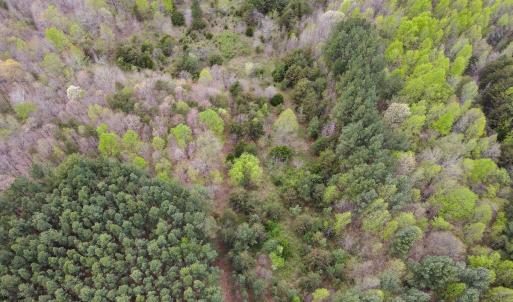 Photo #8 of SOLD property in Off Owens Mill Rd, Nathalie, VA 44.8 acres