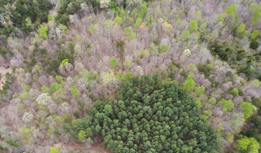 Photo #9 of SOLD property in Off Owens Mill Rd, Nathalie, VA 44.8 acres