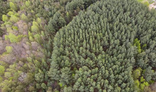 Photo #24 of SOLD property in Off Owens Mill Rd, Nathalie, VA 44.8 acres